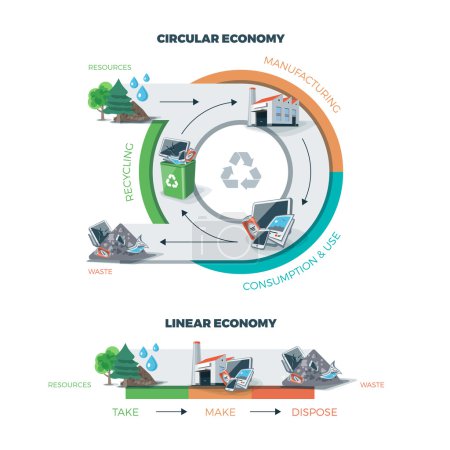 Circular and Linear Economy