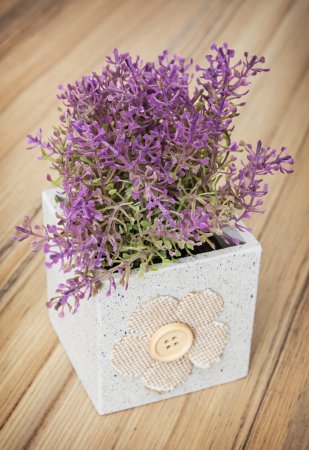 Small decorative potted plant on the wooden background, home dec