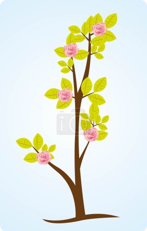 illustration of roses