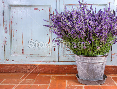 Bouquet of lavender in a rustic setting
