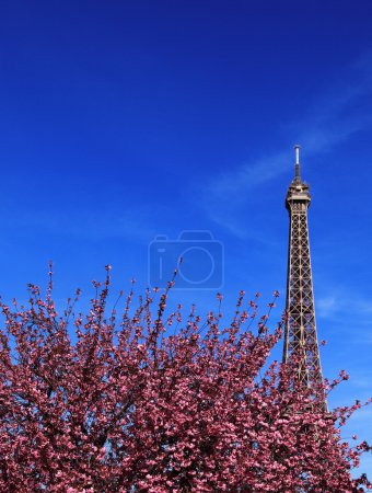 Parisian spring