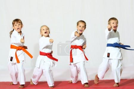 Sport karate