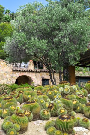 Cactus garden in the Lloret de mar, Costa Brava, Catalonia, Spain