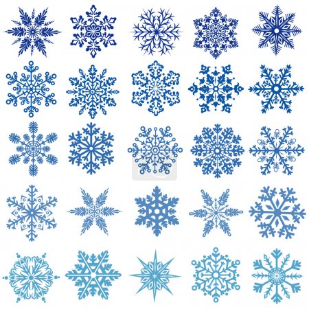 Set of vectors snowflakes
