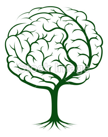 Brain tree illustration