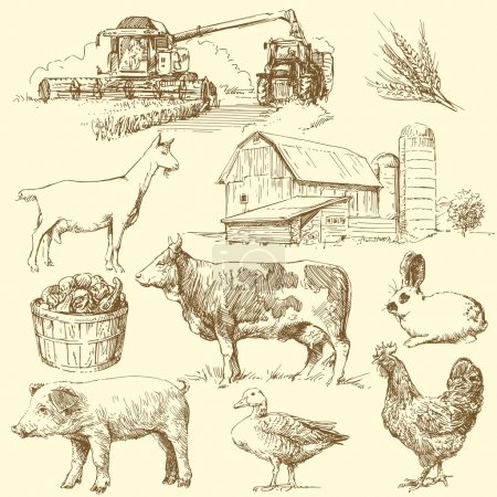 Farm - hand drawn collection