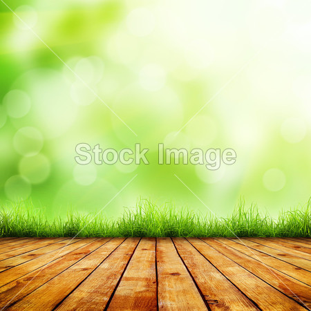 Fresh spring green grass and wood floor