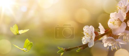 Spring flower background; Easter landscape