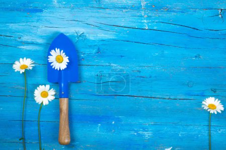 Gardening tool and daisies