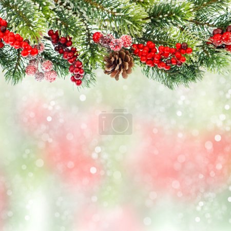 Christmas tree branch with red berrries