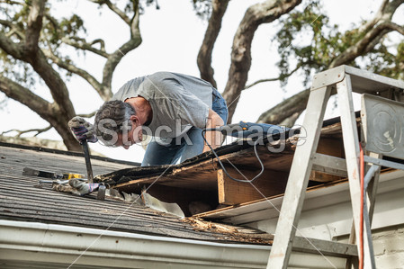 Man Examining and Repairing Leaking House Roof