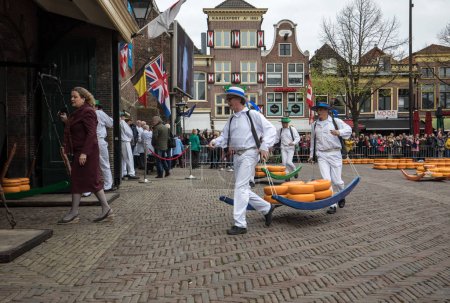 Carriers walking with many cheeses in the famous Dutch cheese market in Alkmaar, The Netherlands. The event happens in the Waagplein square. 
