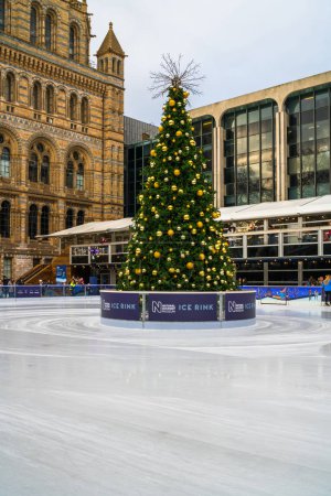 Ice rink and Christmas tree at National History Museum in London