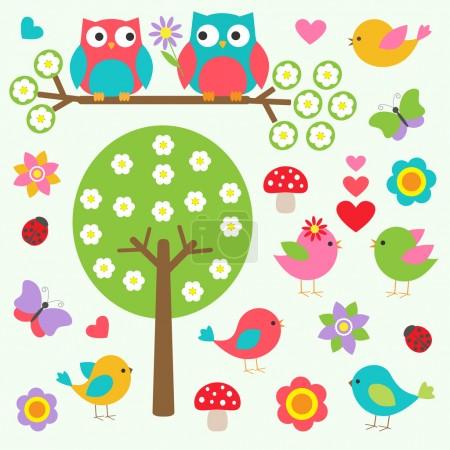 Birds and owls in spring forest