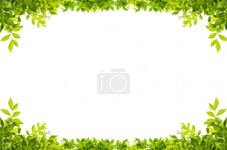 leaves frame isolated on white background