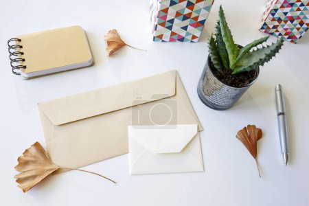 blank envelopes with notebook, pen, cactus and ginkgo leaves on white table