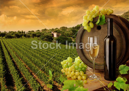 Wine, grapes and sunset vineyard