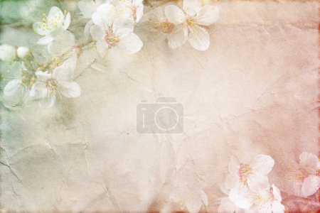 gentle spring grunge texture with flowers on old paper with pastel colors