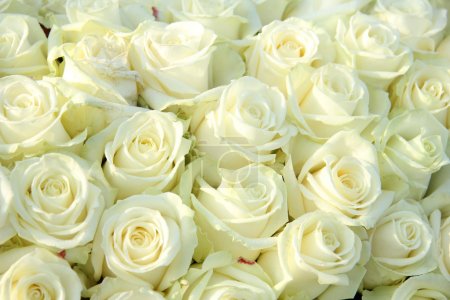 Group of white roses, wedding decorations