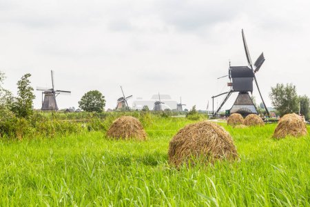 The windmills of Kinderdijk belong to the UNESCO World Heritage.