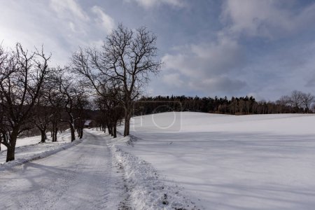 Rural idyllic bright color winter landscape countryside scene of a snowy field with hill, sky, clouds, trees, forest, road and tracks towards a farm