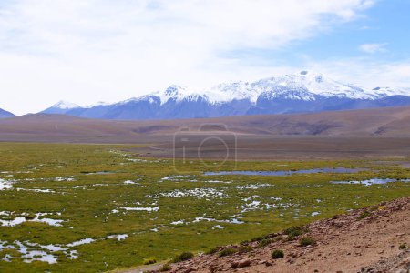 The Rio Putana valley in the highlands of the Atacama Desert along the road to El Tatio Geysers, with the snowy Andes volcanoes in the background, Chile