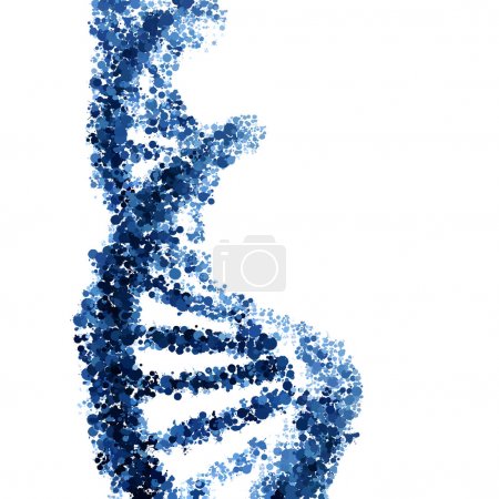 DNA helix vector isolated on white background