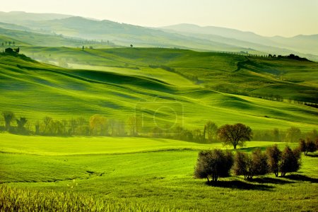 Countryside, San Quirico Orcia , Tuscany, Italy