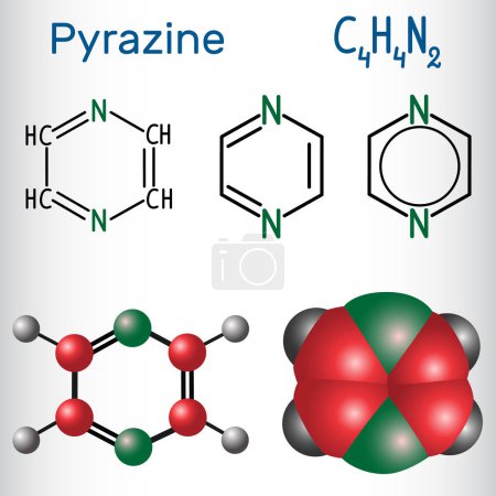 Pyrazine molecule, is a heterocyclic aromatic organic compound. Structural chemical formula and molecule model