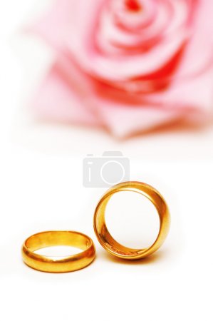Two golden wedding rings and rose