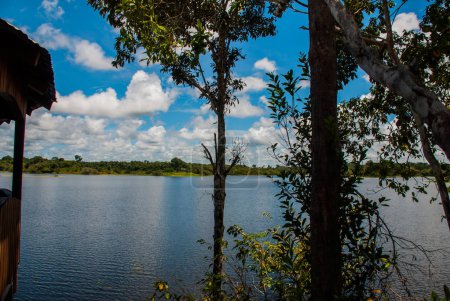 Amazon river, Manaus, Amazonas, Brazil: Beautiful landscape in Sunny weather on the Amazon river