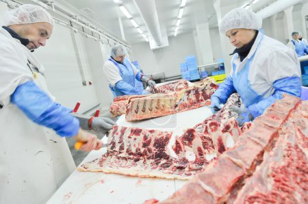 Meat processing in food industry