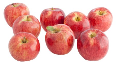 Red Apples Isolated on White