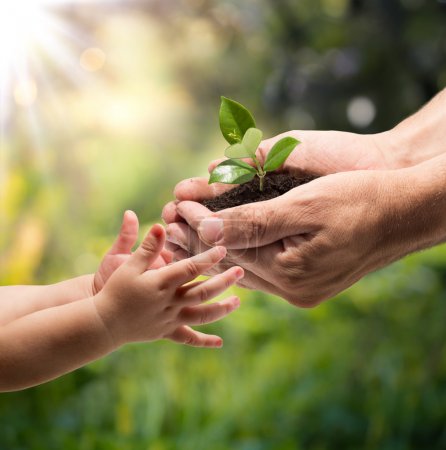 Hands of a child taking a plant from the hands of a man - grass background
