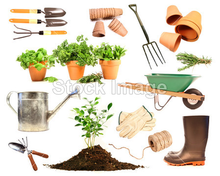 Variety of objects for spring planting on white