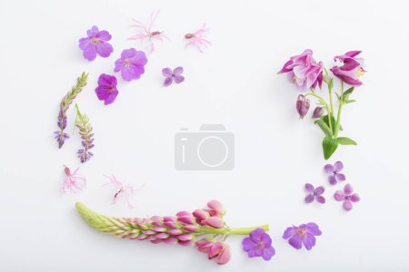 frame of summer flowers on white background