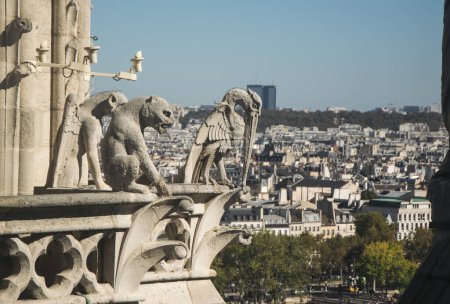 PARIS, FRANCE - 02 OCTOBER 2018: Mythical creature gargoyle on roof of Notre Dame cathedral.