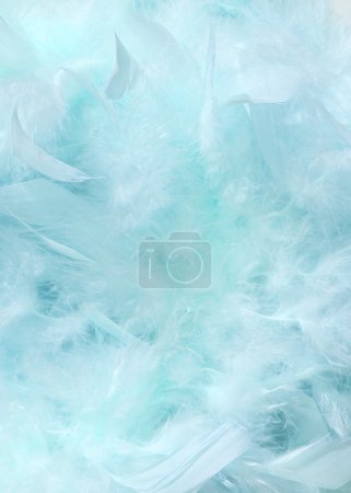 Cloudy blue sky fluffy feather background