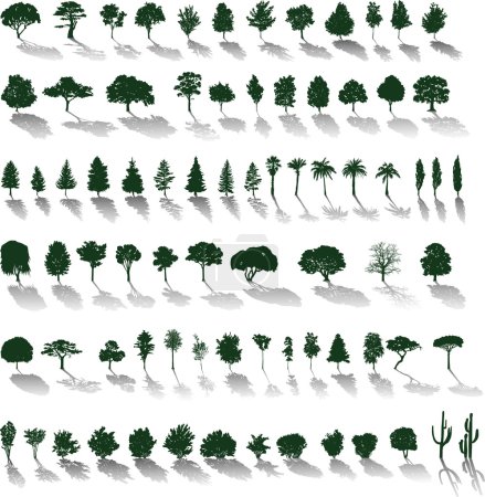Vector trees with shadows