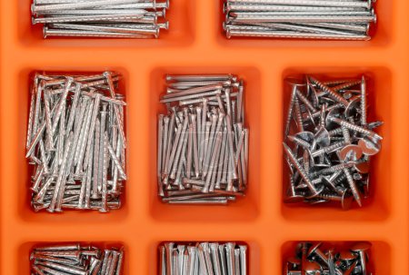 Different types of nails in a plastic box.