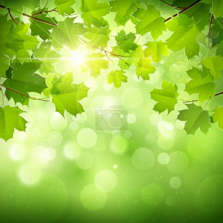 Natural green background