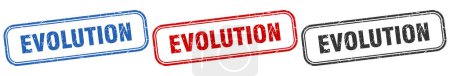 evolution square isolated sign set. evolution stamp