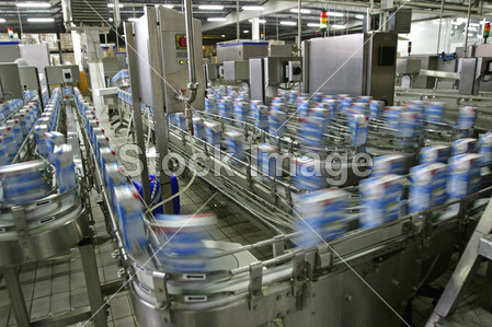 Production line in modern dairy factory