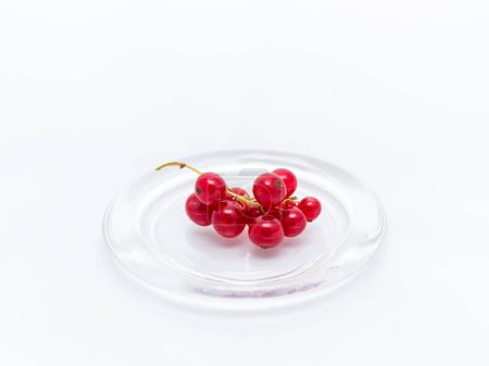 Branch of red currants in a glass plate on a white background.