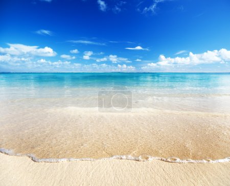 Sand of beach caribbean sea