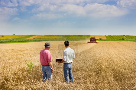 Business people on wheat field