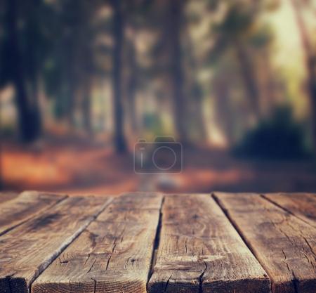 Image of front rustic wood boards and background of trees in forest. image is retro toned