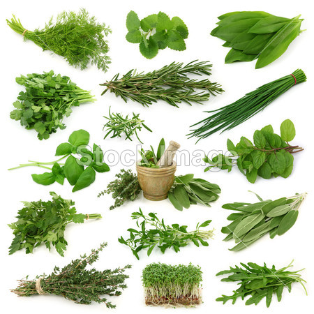Fresh herbs collection