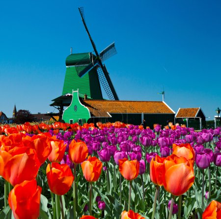 Windmill in holland