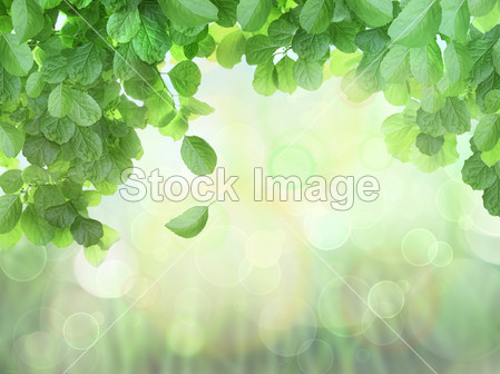 Spring Background With Leaves and brokeh effect